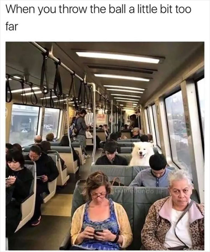 Official-Mens-Humor-Facebook