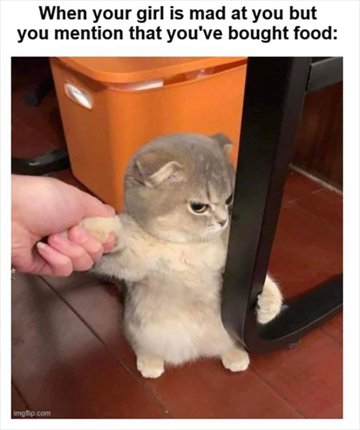 Official-Mens-Humor-Facebook