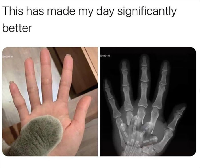 Official-Mens-Humor-Facebook