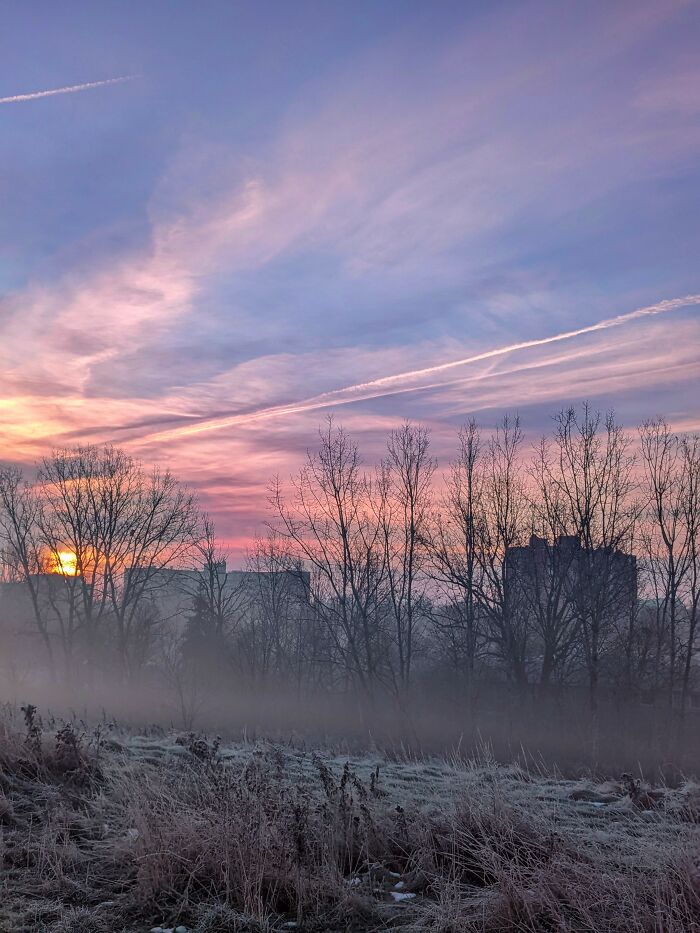 Winter Fog In London Ontario Canada