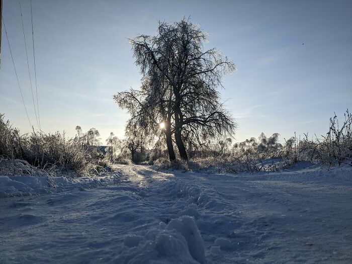 Winter Photographed With My Phone (14 Pics)