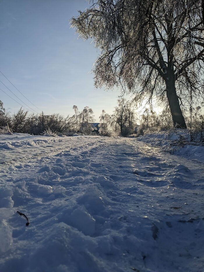 Winter Photographed With My Phone (14 Pics)