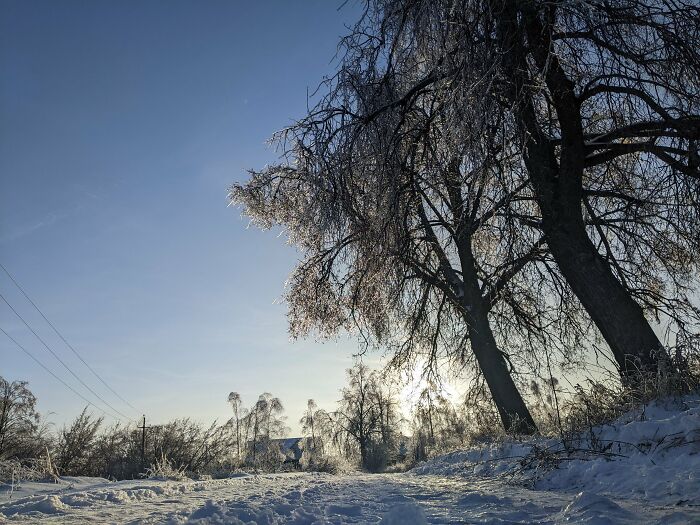 Winter Photographed With My Phone (14 Pics)