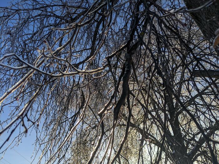 Winter Photographed With My Phone (14 Pics)