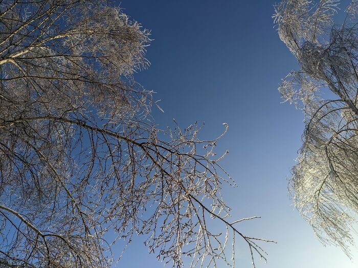 Winter Photographed With My Phone (14 Pics)