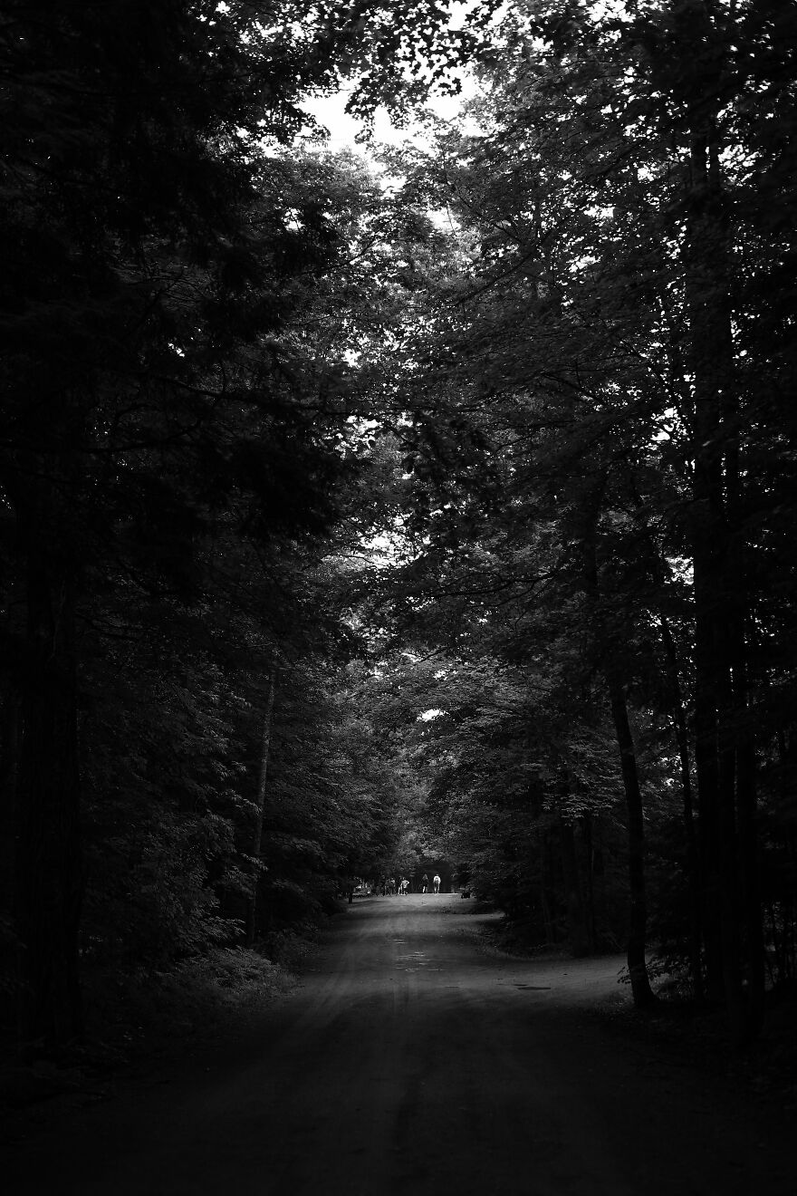 Photography For Your Coffee Break: 32 Photos That I Took