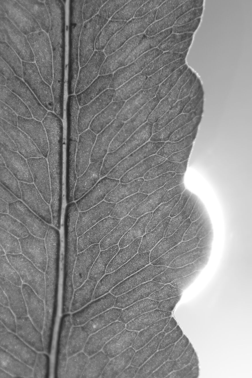 Photography For Your Coffee Break: 32 Photos That I Took