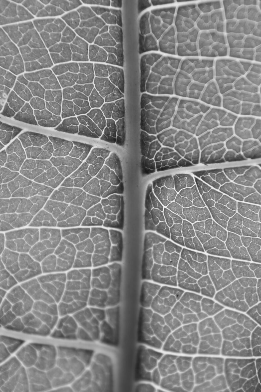 Photography For Your Coffee Break: 32 Photos That I Took