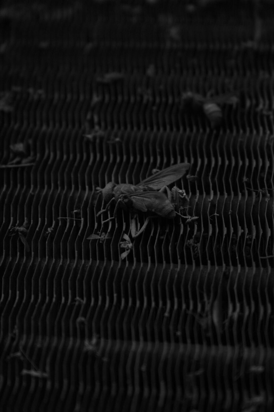 Photography For Your Coffee Break: 32 Photos That I Took