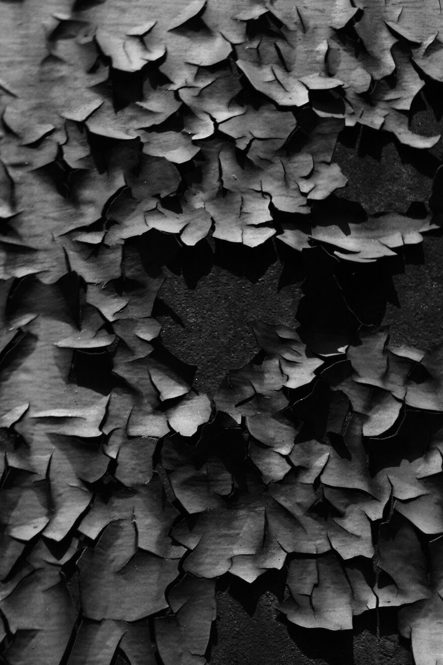 Photography For Your Coffee Break: 32 Photos That I Took