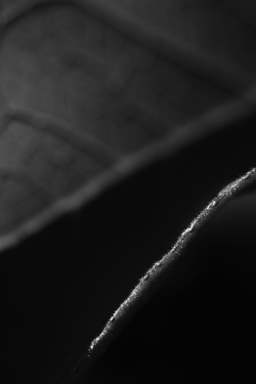 Photography For Your Coffee Break: 32 Photos That I Took