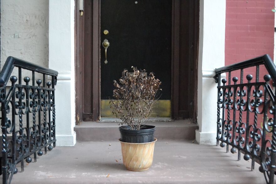 Interactive Street Art Jokes