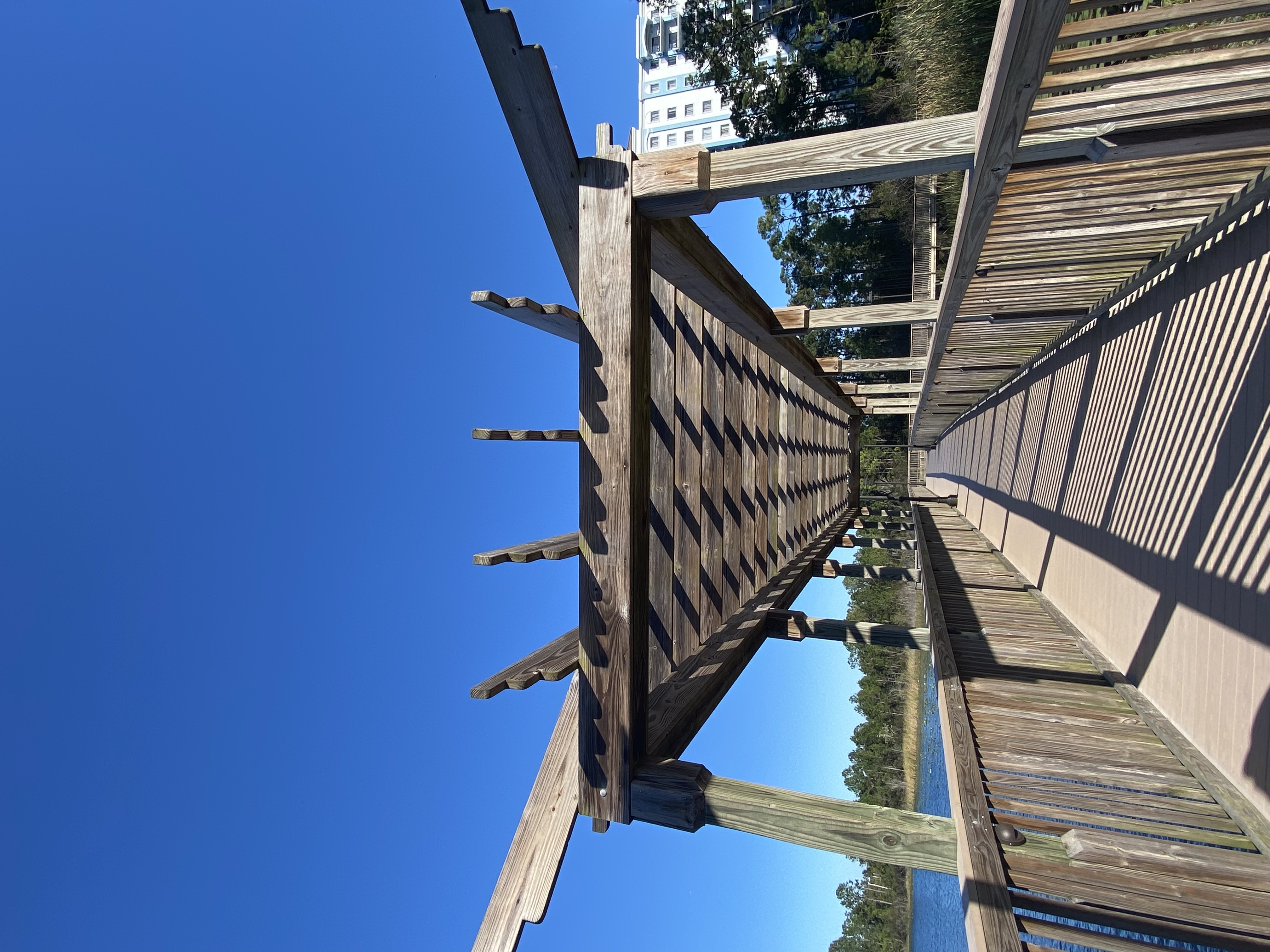 Post The Best Photo You Ever Took!