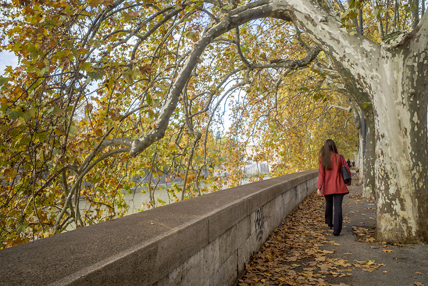 I Walked 20km Along The Ancient Aurelian Walls In Rome