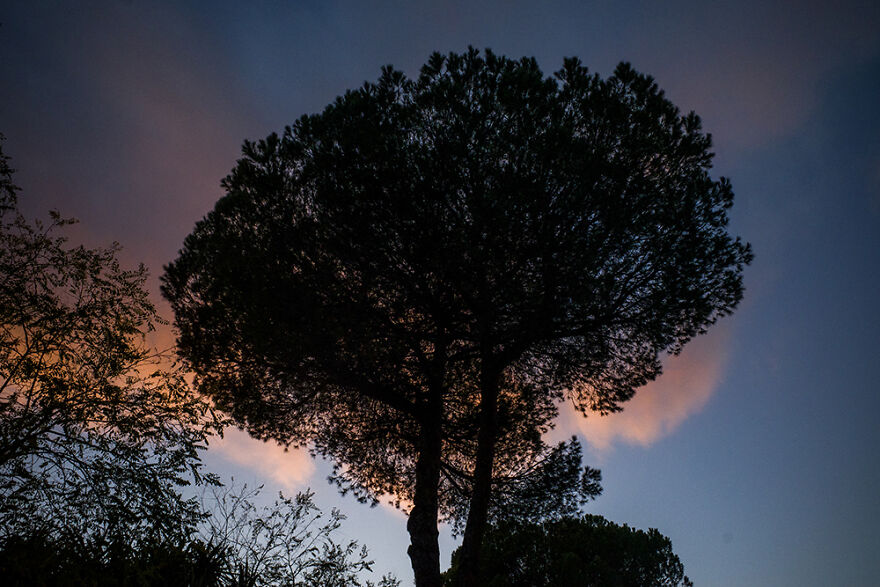 I Walked 20km Along The Ancient Aurelian Walls In Rome