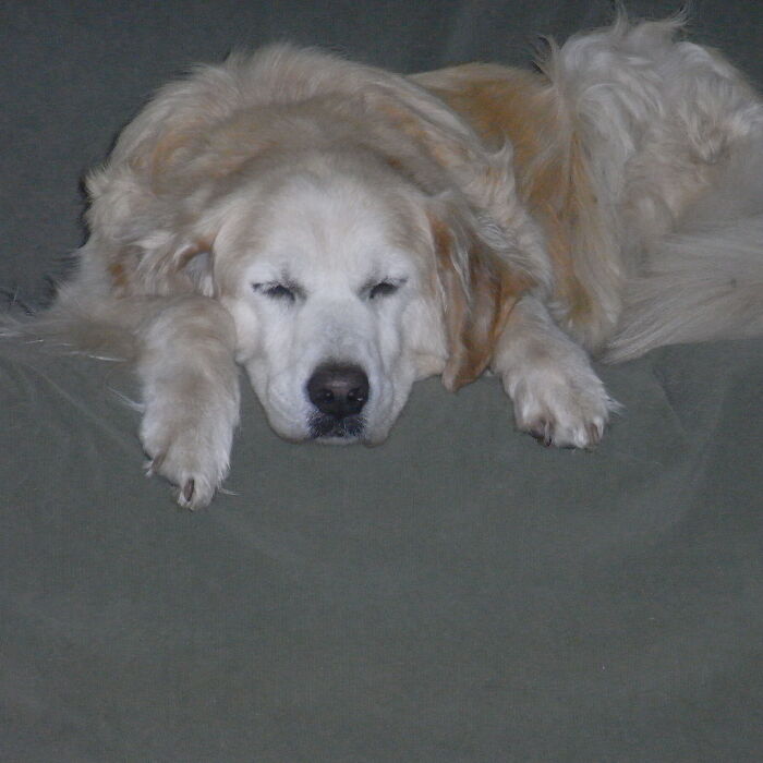 Honey, Who Lives Up To Her Name