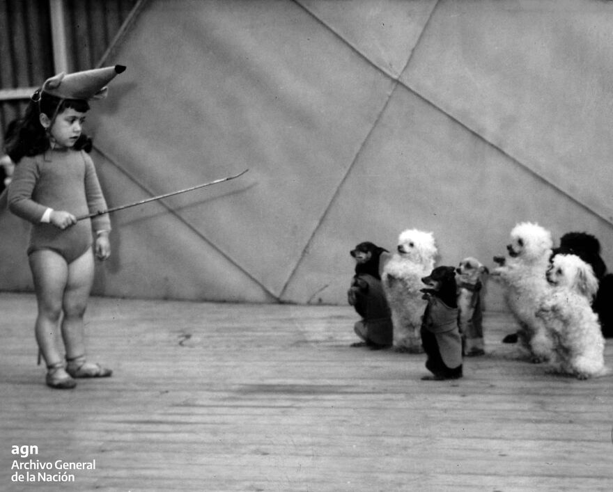 Theatrical Performance