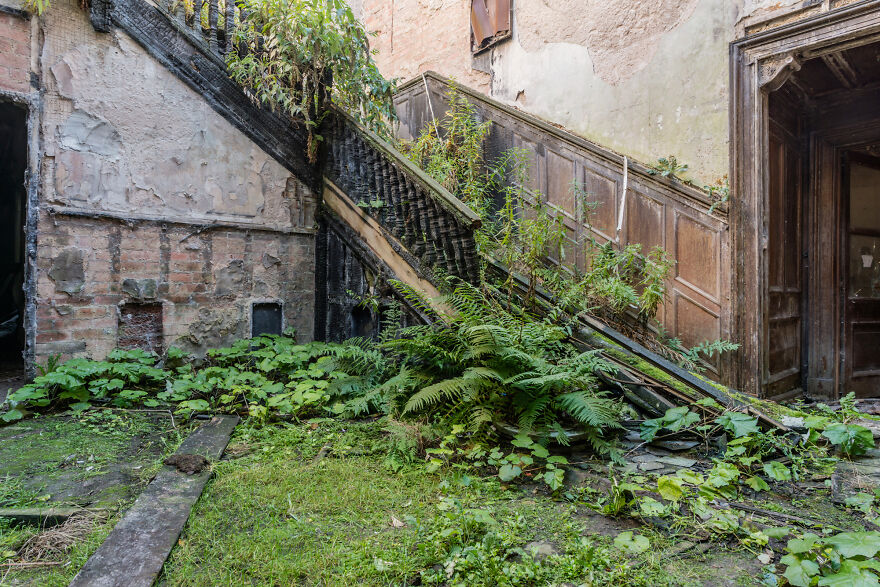 Luxuria: The World Without Us