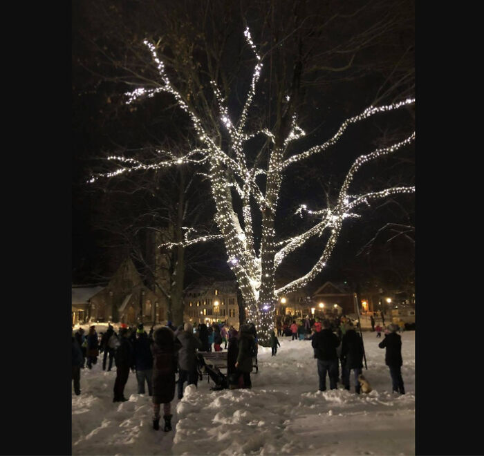 Merry Maple In New England(United States)