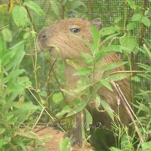 avenellvancamp avatar