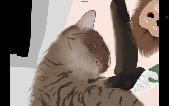 I Drew My Cat, Unfortunately Had A Time Constraint