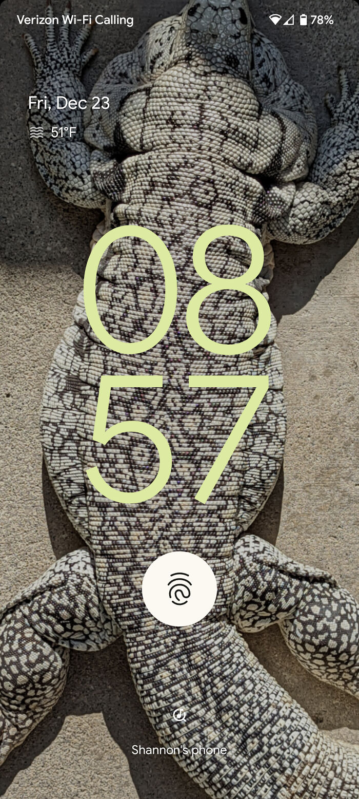 This Is Why They Call Me The Lizard Lady