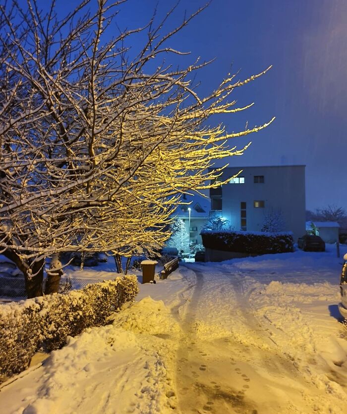 On A Walk With My Dog Last Week