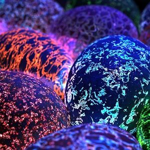 wesleystewart avatar