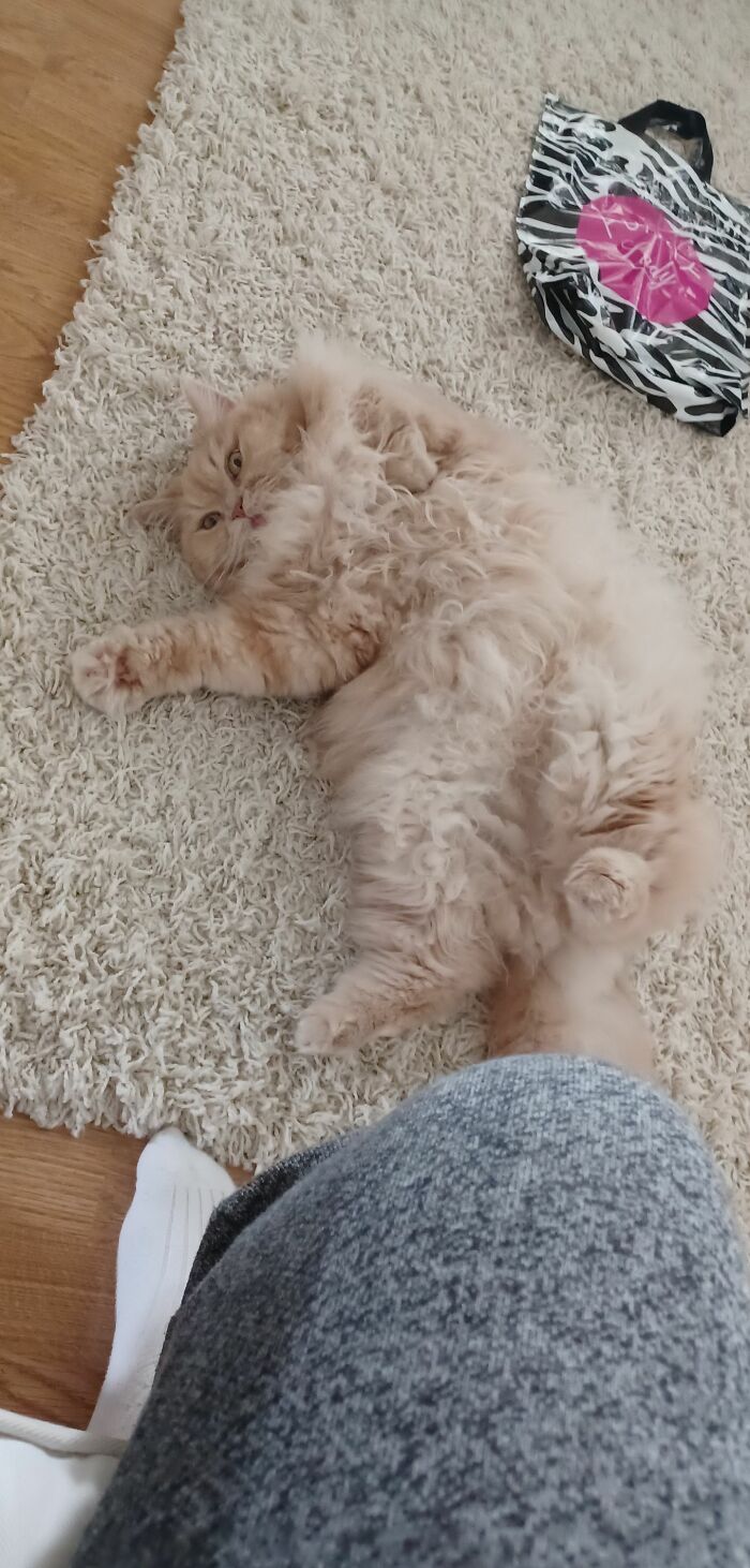 Our 14 Years Old Handsome Boy