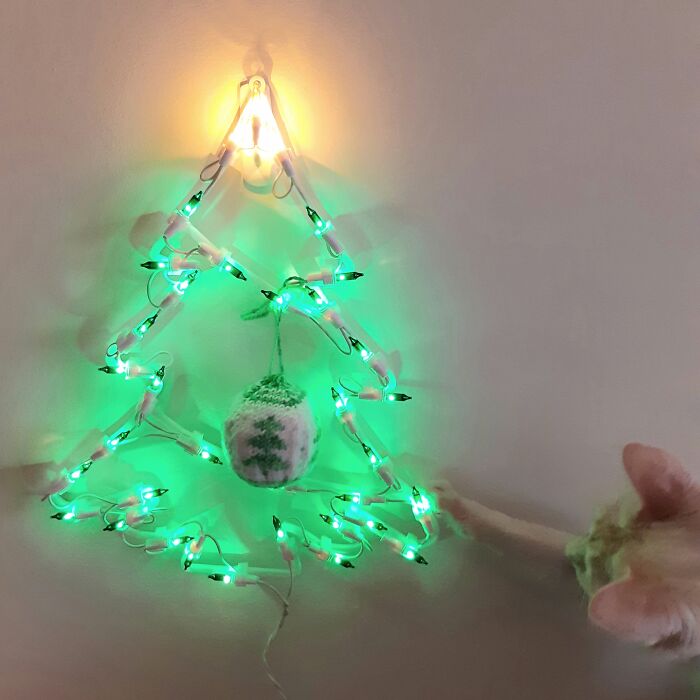 I Put Up A Tree I Thought The Cat Couldn't Get At. I Was Wrong