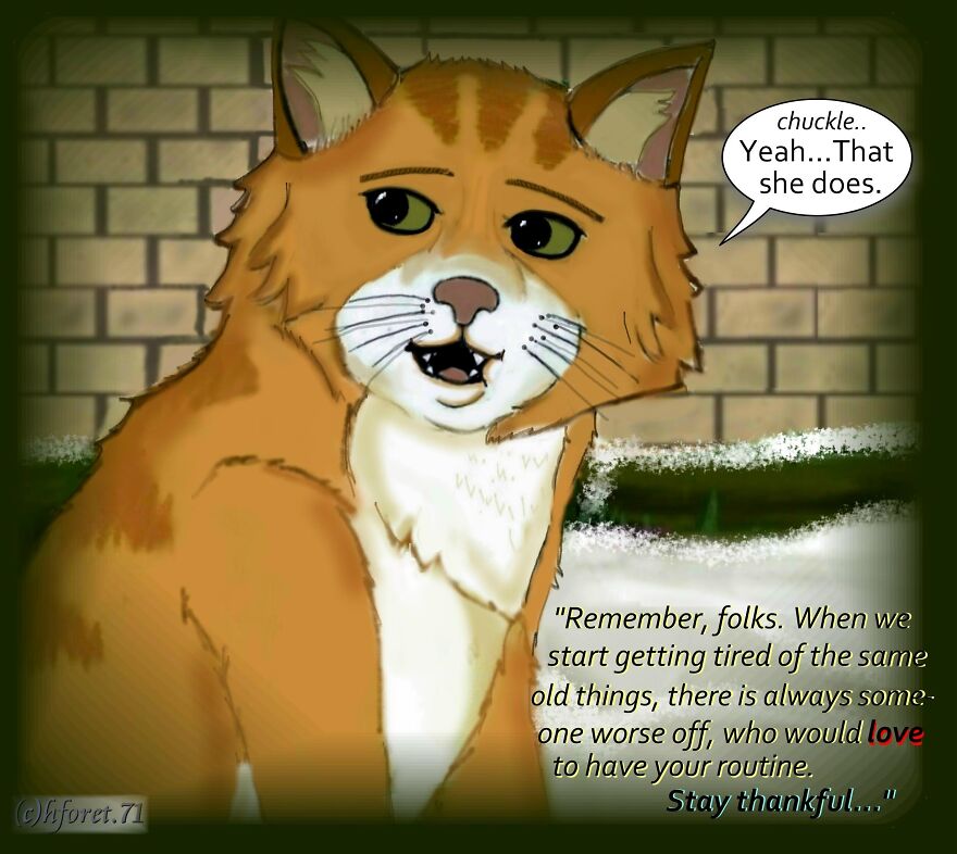 I Created An Illustrated Comic Series Called 'Thankful...'