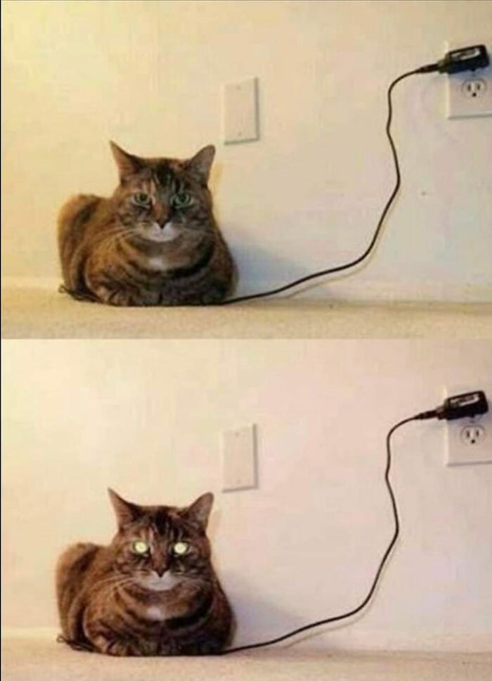 Accidental-Surrealism