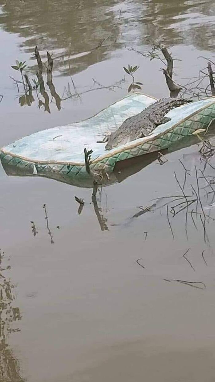 Accidental-Surrealism