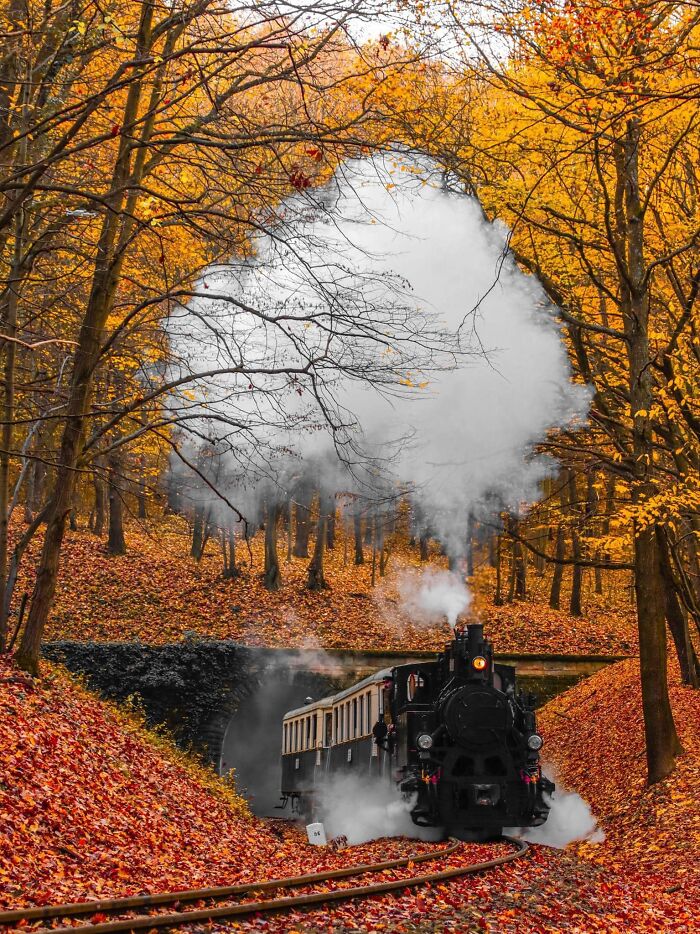 Accidental-Surrealism