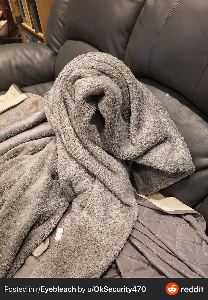 Accidental-Surrealism