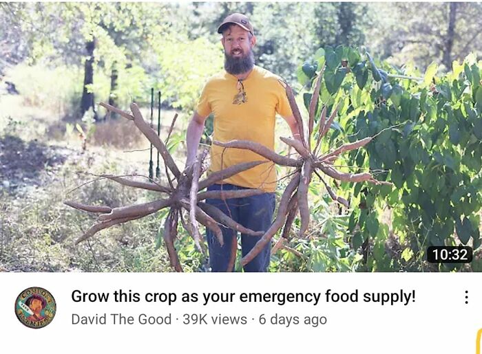 Accidental-Surrealism