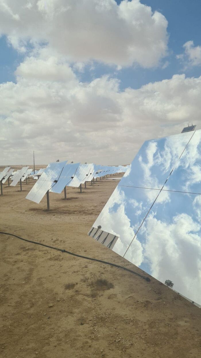 Accidental-Surrealism