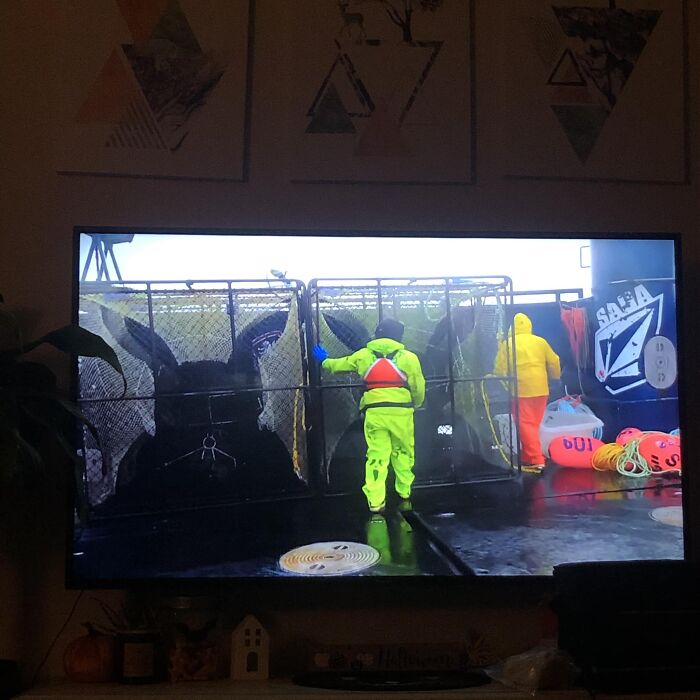 Accidental-Surrealism