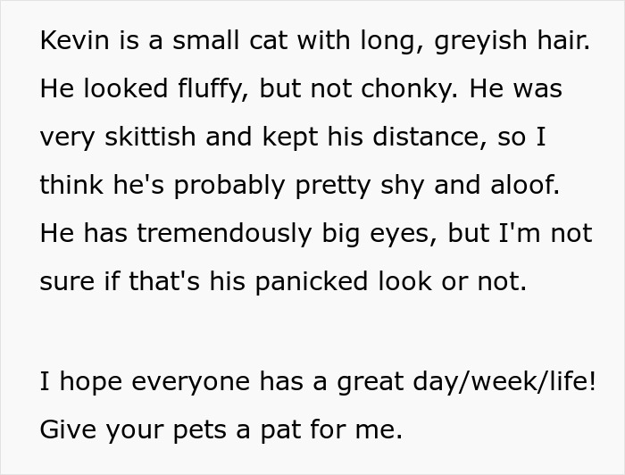 &ldquo;Kevin?&rdquo;: Woman Can Hear Her Neighbor Talk To Her Cat, Ends Up &ldquo;Trolling&rdquo; Him When He&rsquo;s Desperately Looking For It