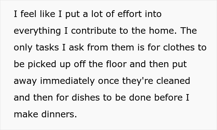 Entitled Husband And His Brother Think His Wife Complains Too Much Because She&rsquo;s The Only One Responsible For All The Housework, Are Given An Ultimatum