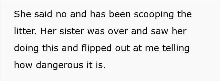 Guy Wonders If He's A Jerk For Refusing To Clean The Litter Box While His Wife Is Pregnant, The Internet Doesn't Hold Back