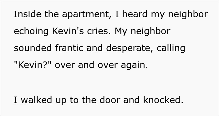 &ldquo;Kevin?&rdquo;: Woman Can Hear Her Neighbor Talk To Her Cat, Ends Up &ldquo;Trolling&rdquo; Him When He&rsquo;s Desperately Looking For It