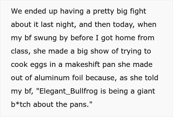 Woman Gets Dubbed 'Ridiculous' For Not Allowing Roommate To Use Her New Cookware As She Ruined The Old Ones