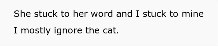 Guy Wonders If He's A Jerk For Refusing To Clean The Litter Box While His Wife Is Pregnant, The Internet Doesn't Hold Back