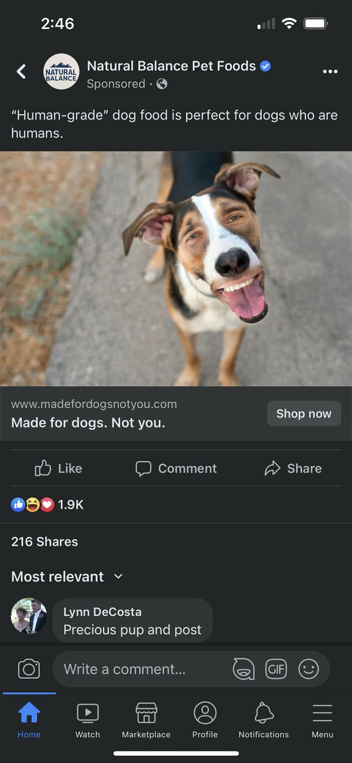 I Am Confused And Absolutely Horrified