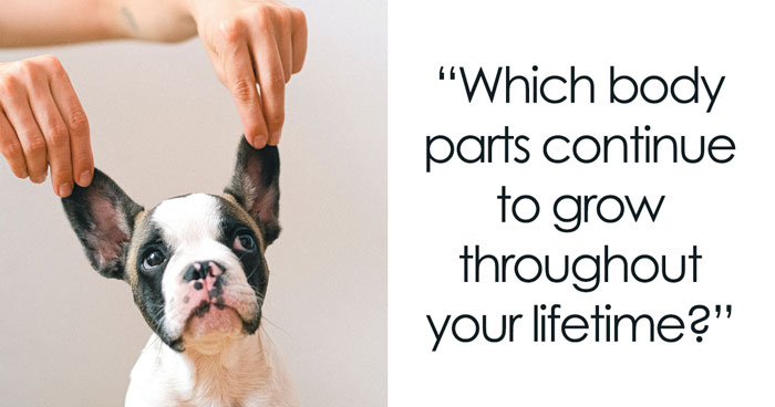 180 Bar Trivia Questions We Just Can’t Wait To Answer