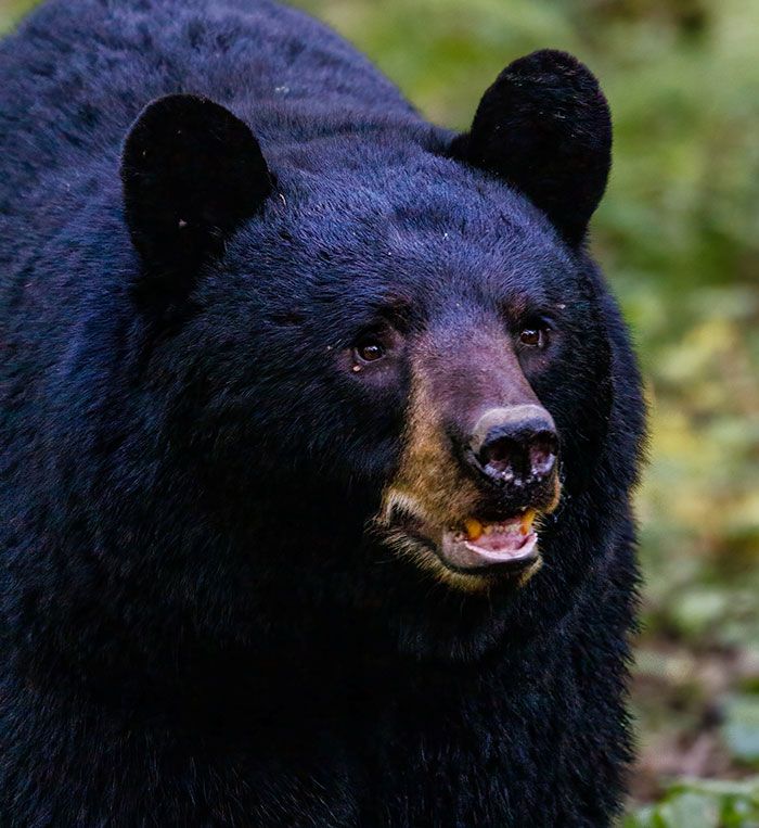 35 Personas haciendo tonterías por tener el cerebro en "piloto automático"