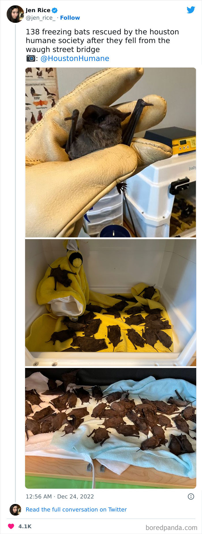 Blizzard-Snow-Cold-Weather-USA-2022