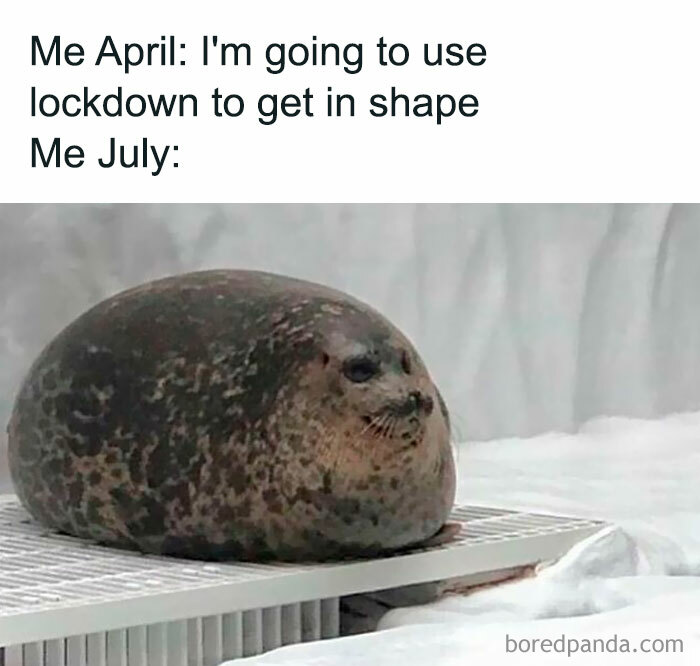 Body-Struggle-Weight-Loss-Memes