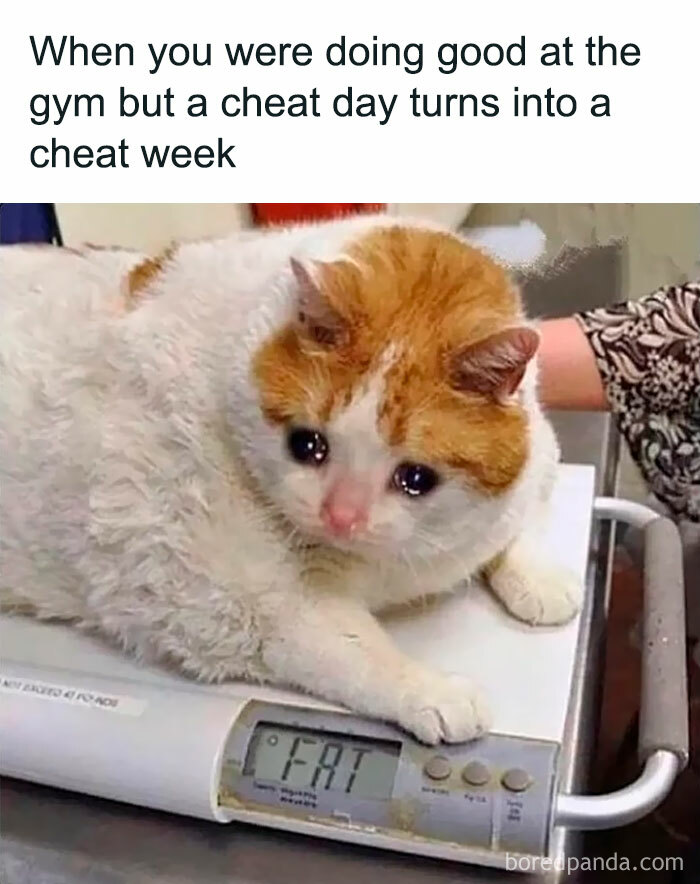 Body-Struggle-Weight-Loss-Memes
